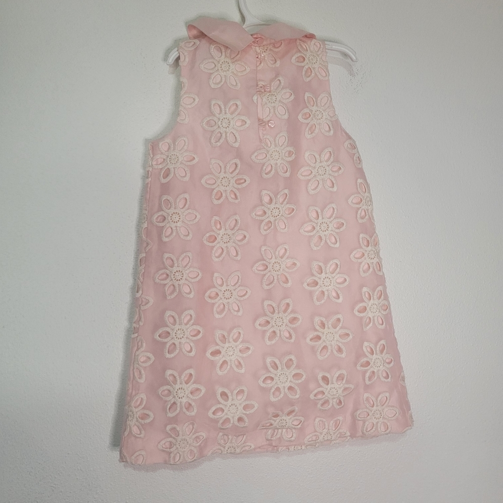 Janie and jack special occasion pink silk dress with white embroidery - Picture 3 of 5